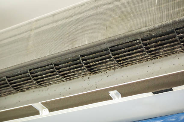 Best Residential Air Duct Cleaning  in Cincinnati, OH